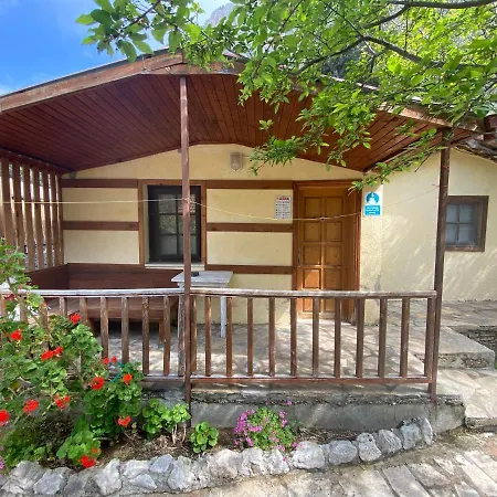 Guest house Kidrak Montenegro-1 *