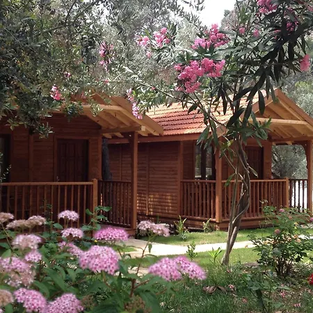 Kidrak Montenegro-1 招待所 *