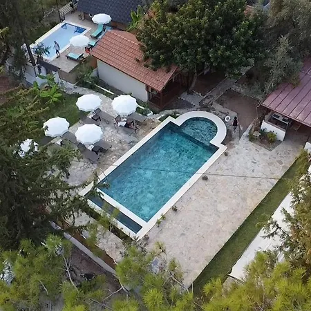 Kidrak Montenegro-1 招待所 法拉尔雅