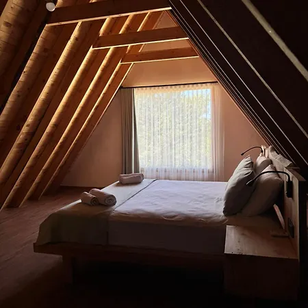 Kidrak Montenegro-1 * 法拉尔雅