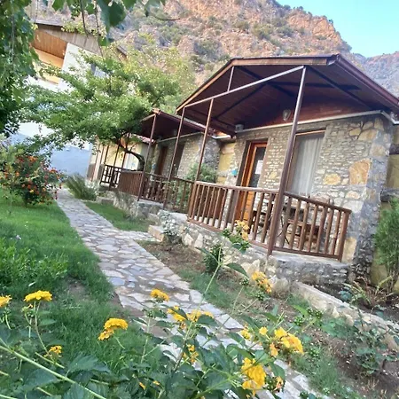 Pensión Kidrak Montenegro-1