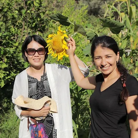 招待所 Kidrak Montenegro-1 法拉尔雅