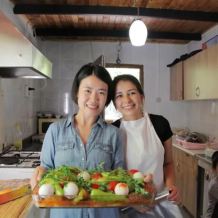 招待所 Kidrak Montenegro-1 *