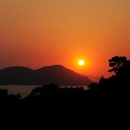 Kidrak Montenegro-1 法拉尔雅