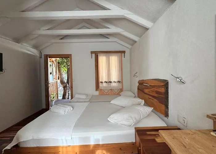 Pensiune Kidrak Montenegro-1 *